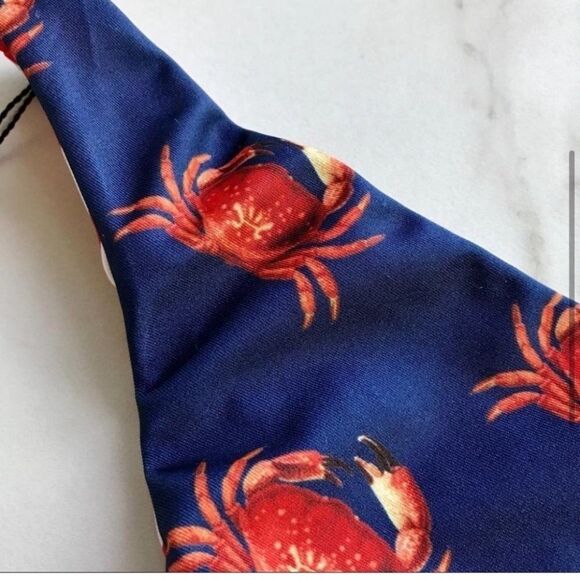 NWT Wildfox Crabby Stripe Reversible Bikini Bottom - Picture 3 of 6